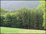 Blick auf Lohr