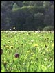Sinngrund- Sindersbach Radwandertour