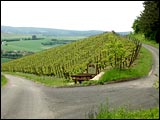 Wein- und Gesundheitsweg