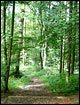 Rundwanderweg<br>Karlstadt - Stetten - He�lar - Sch�narts