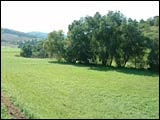 Wanderweg Stadelhofen-Laudenbach