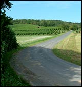 Rundweg Karlburg