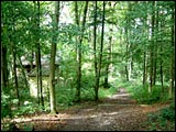 Rundwanderweg Karlstadt-Stetten-He&szlig;lar-Sch&ouml;narts