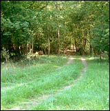 Wanderweg Gambach-Wiesenfeld