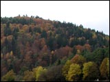 Im Tal der fr&auml;nkischen Saale
