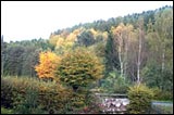Rollstuhl-Wanderung Kropfbrunner Weg