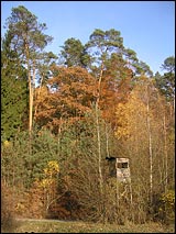 Sindersbachtal Rundwanderung