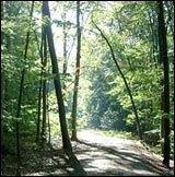 Wanderweg von Hundsbach nach Erlasee