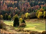Radweg, Frammersbach - Fl&ouml;rsbachtal