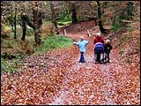 Rad- u. Wanderweg Rinderbachtal - Murrental - Frammersbach