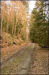 Rad und Wanderweg - Michelrieth - Zwieselsm&uuml;hle