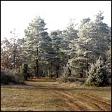 Bildstockwanderweg I - Aschfeld
