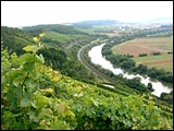 Weinwanderweg Stetten